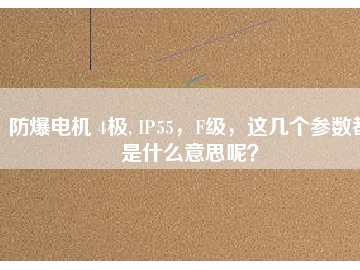 防爆電機 4極, IP55，F(xiàn)級，這幾個參數(shù)都是什么意思呢？