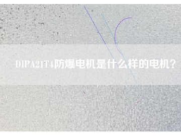 DIPA21T4防爆電機(jī)是什么樣的電機(jī)？