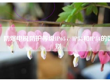 防爆電機(jī)防護(hù)等級(jí)IP65，IP55和IP54的區(qū)別