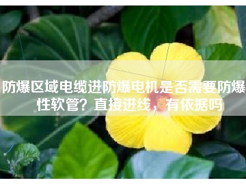 防爆區(qū)域電纜進(jìn)防爆電機(jī)是否需要防爆撓性軟管？直接進(jìn)線，有依據(jù)嗎