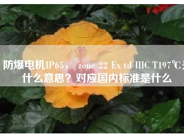 防爆電機(jī)IP65， zone 22 Ex td IIIC T197℃是什么意思？對(duì)應(yīng)國內(nèi)標(biāo)準(zhǔn)是什么