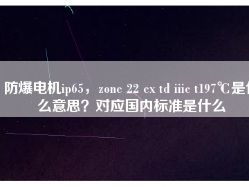 防爆電機(jī)ip65，zone 22 ex td iiic t197℃是什么意思？對(duì)應(yīng)國(guó)內(nèi)標(biāo)準(zhǔn)是什么