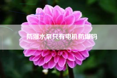 防爆水泵只有電機防爆嗎