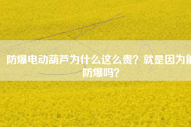 防爆電動葫蘆為什么這么貴？就是因為能防爆嗎？