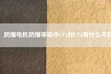 防爆電機(jī)防爆等級(jí)中CT2和CT4有什么不同